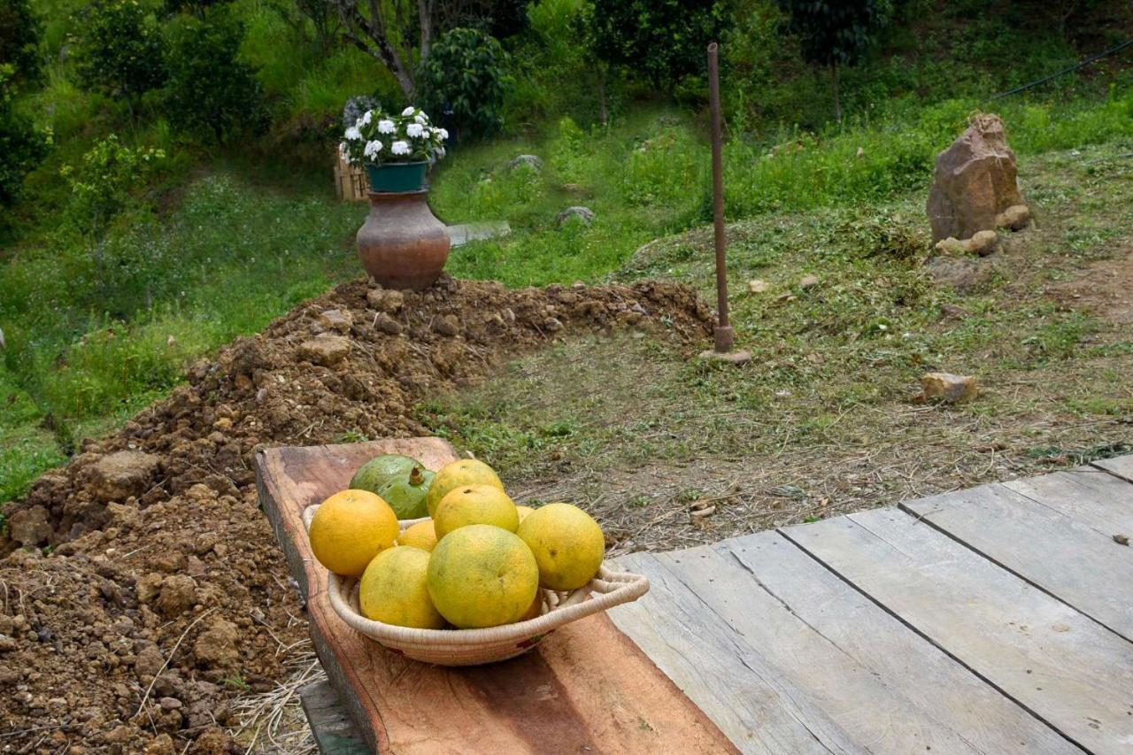 Hostal Las Valkirias Matanza ภายนอก รูปภาพ
