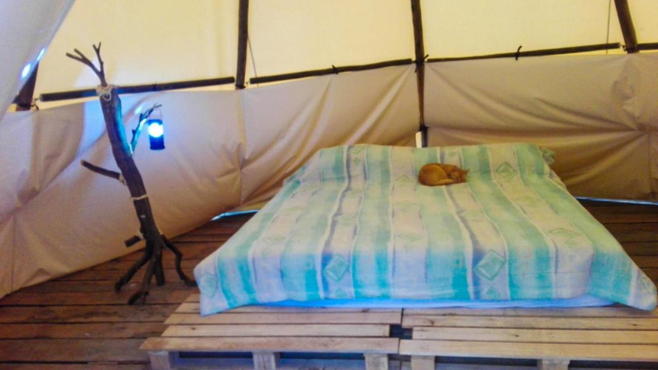 Hostal Las Valkirias Matanza ภายนอก รูปภาพ